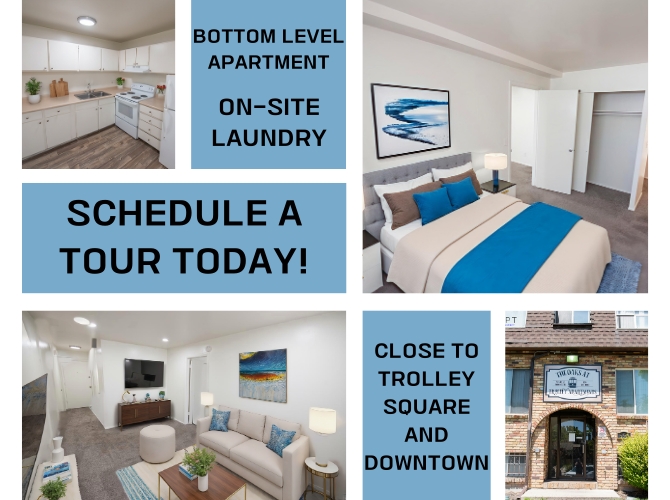 Salt Lake City Apartment: 555 E 700 S