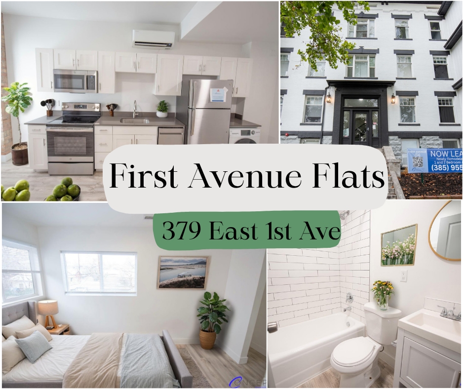 Salt Lake City Apartment: 379 E 1st Ave
