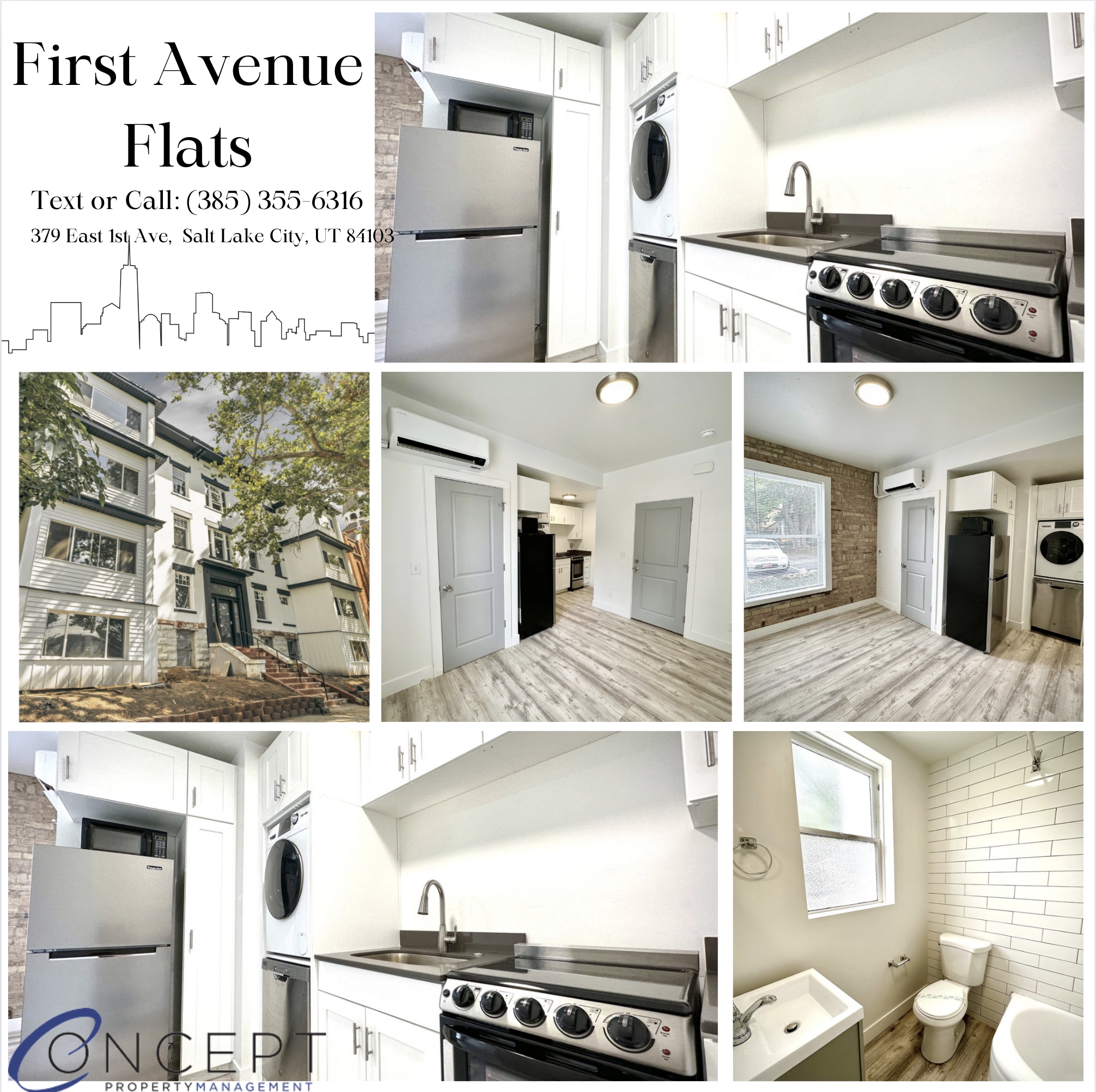 Salt Lake City Apartment: 379 E 1st Ave