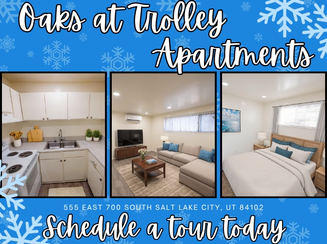 Salt Lake City Apartment: 555 E 700 S