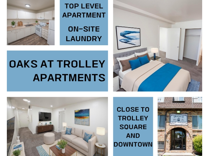 Salt Lake City Apartment: 555 E 700 S