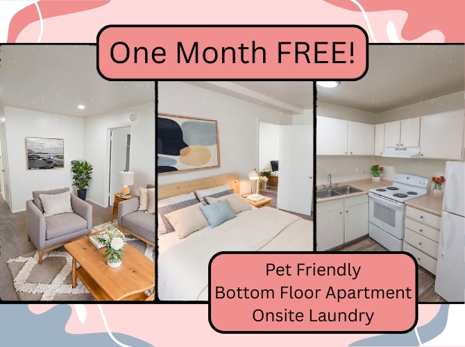 Salt Lake City Apartment: 555 E 700 S