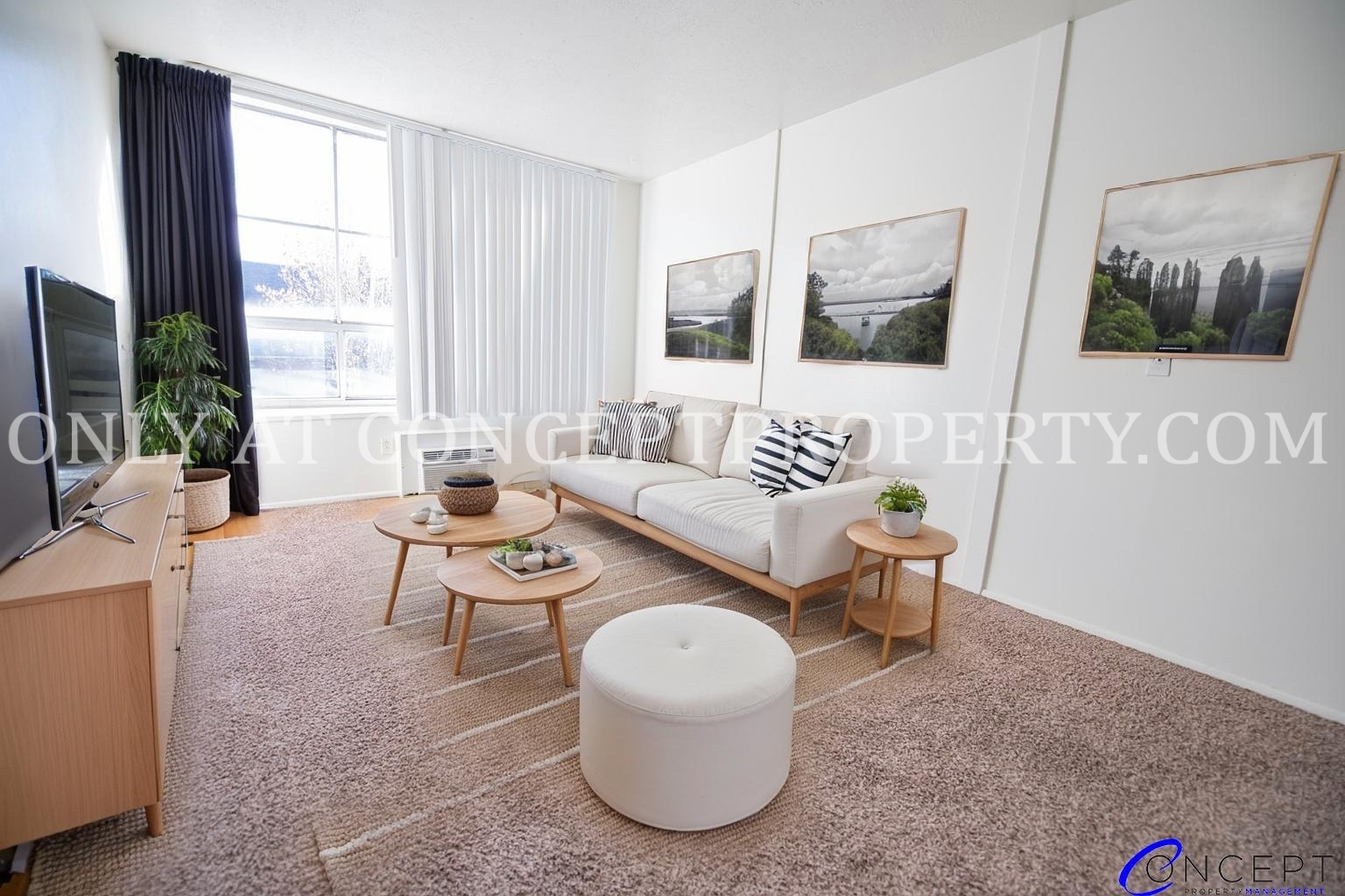 Salt Lake City Apartment: 555 E 700 S