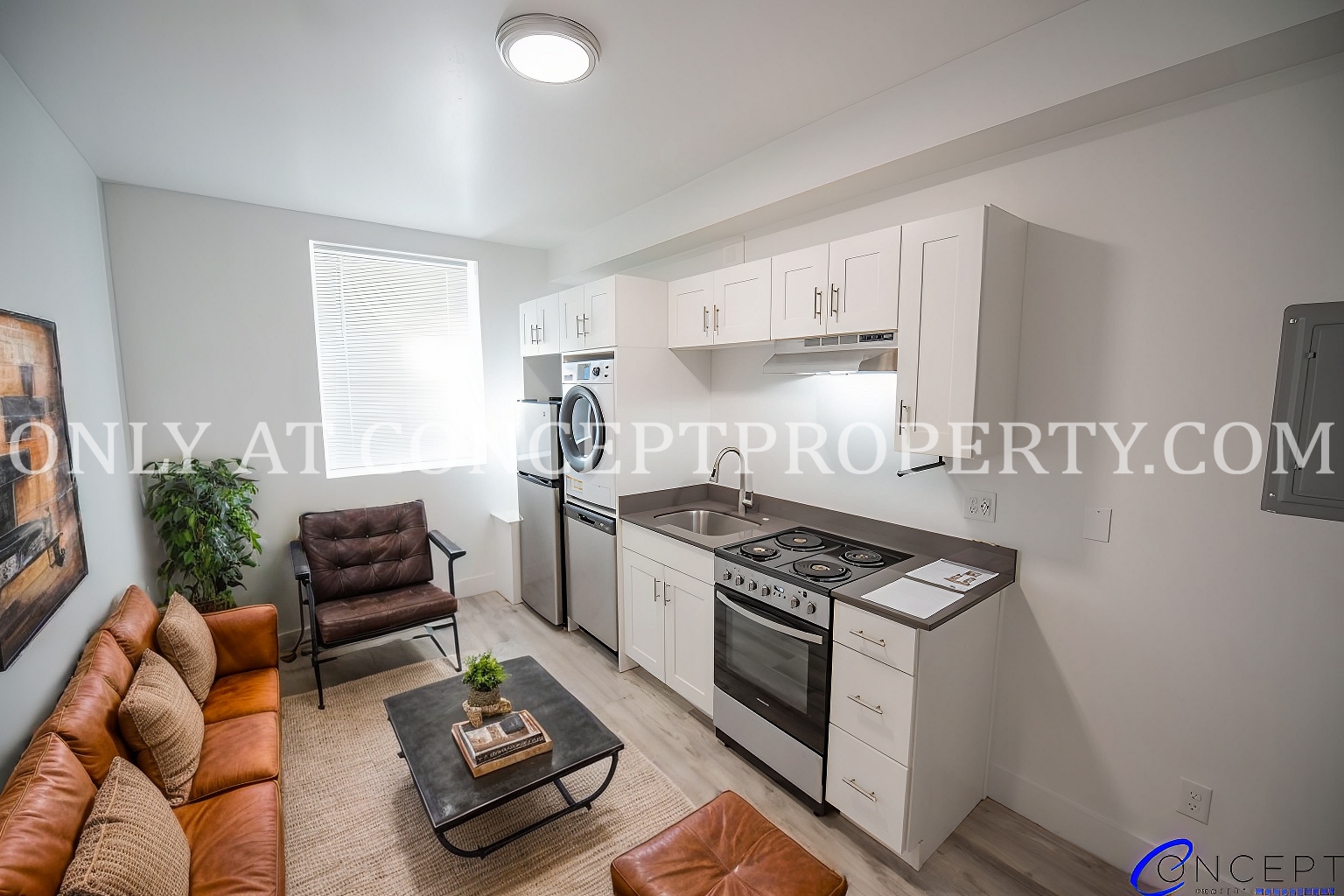 Salt Lake City Apartment: 379 E 1st Ave