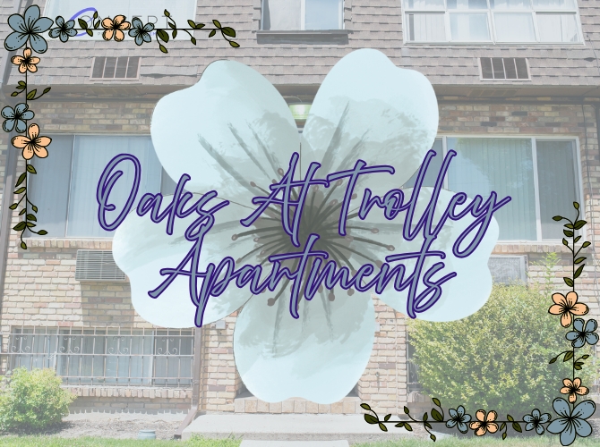 Salt Lake City Apartment: 555 E 700 S