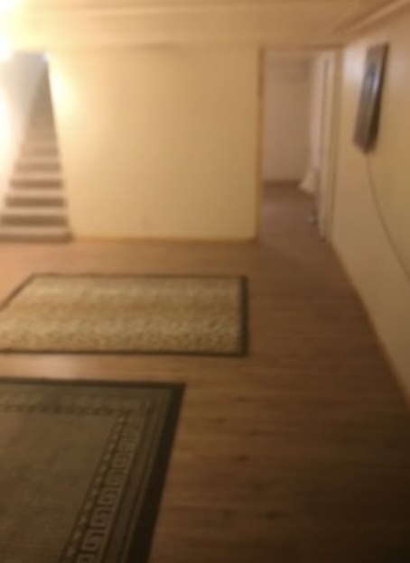 Salt Lake City Apartment: 2540 E Elm Ave