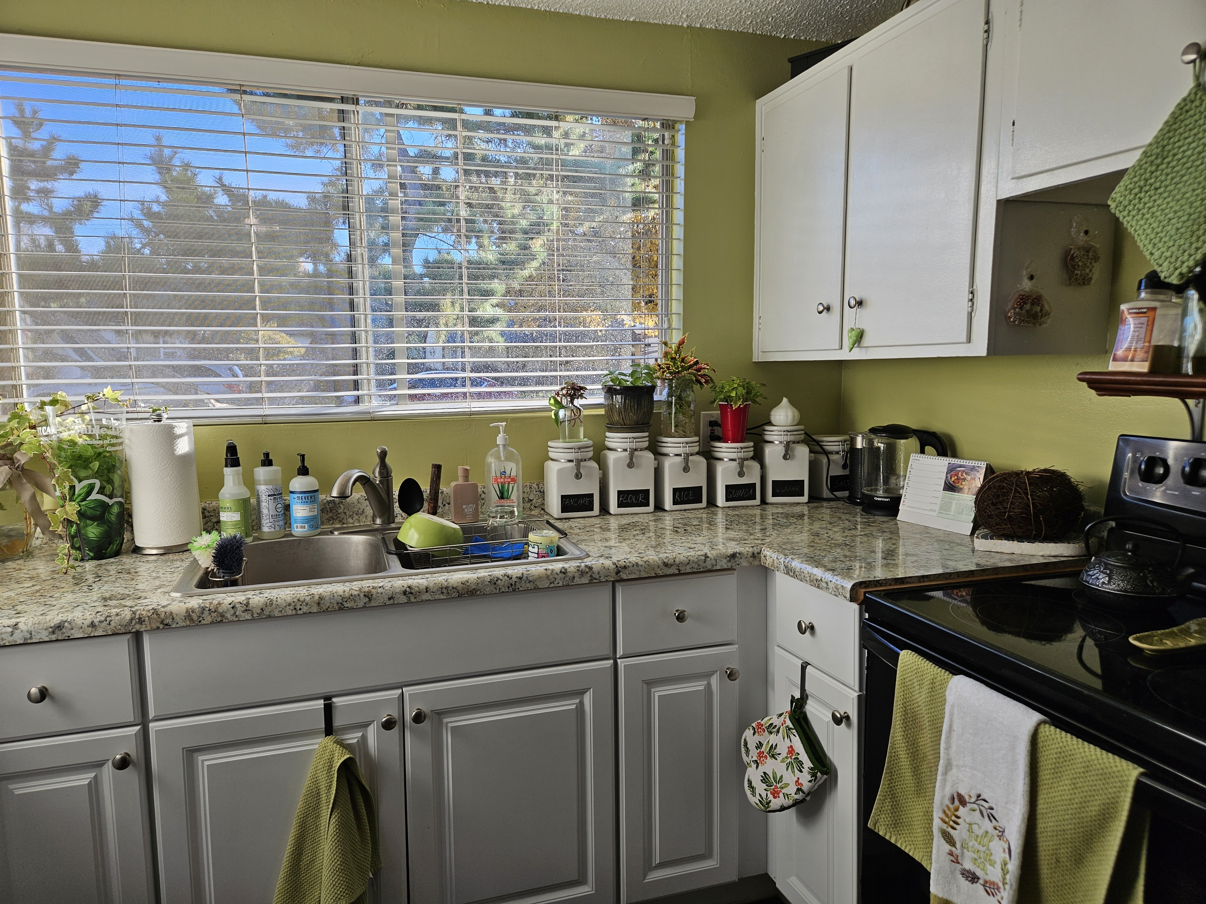 Bountiful Apartment: 225 E 200 S