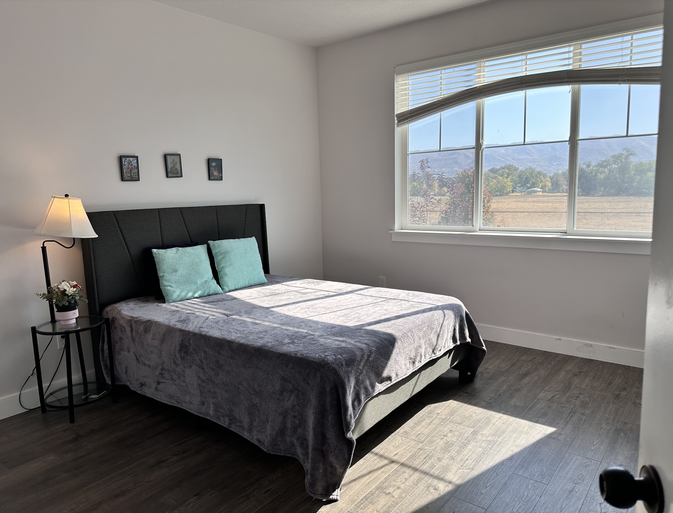 Draper Single Room: 628E E Sawback Ln