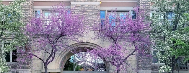 Salt Lake City Condo: 5 S 500 W