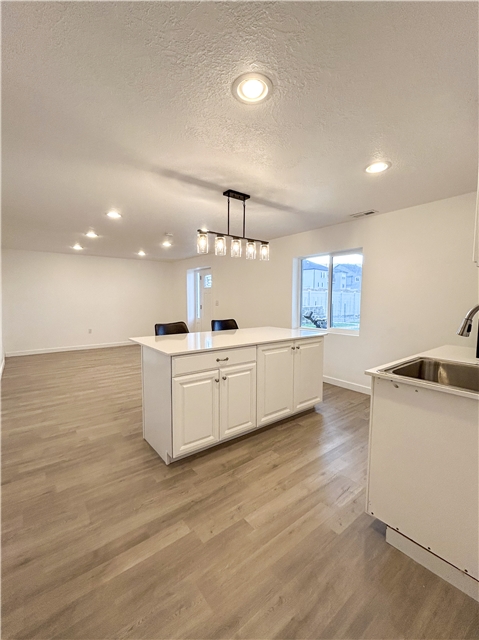 Santaquin In-Law/Basement: 1630 W Onyx Dr