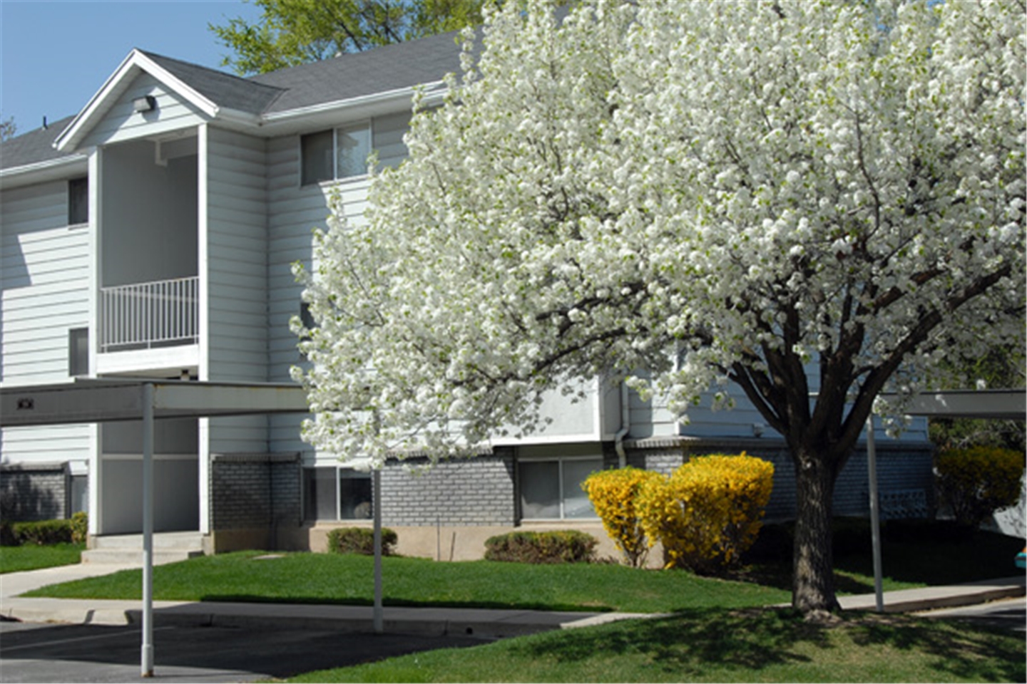 Carrington Place Apartment For Rent At 830 N 500 W Bountiful Ut 84010 Rentler