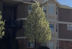 Saratoga Springs Condo: 105 W Daybreak Ln