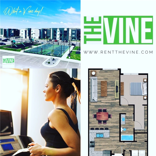 Vineyard Apartment: 250 N Mill Road