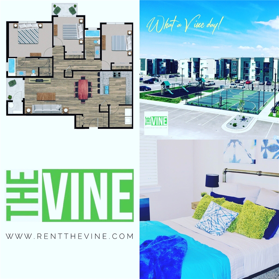 The Vine apartments Apartment for rent at 250 N Mill Road, Vineyard