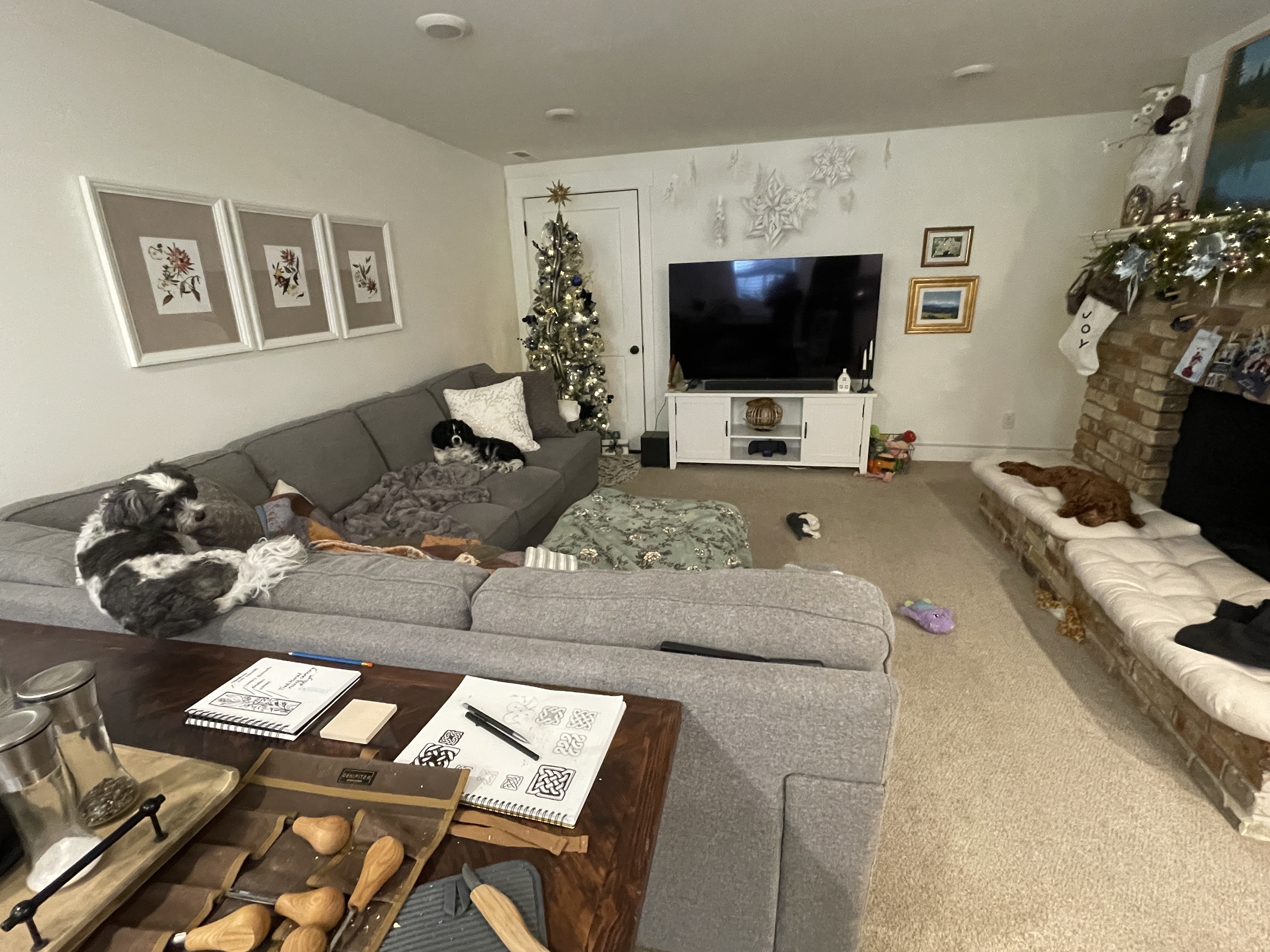 Orem In-Law/Basement: 1018 E 600 N