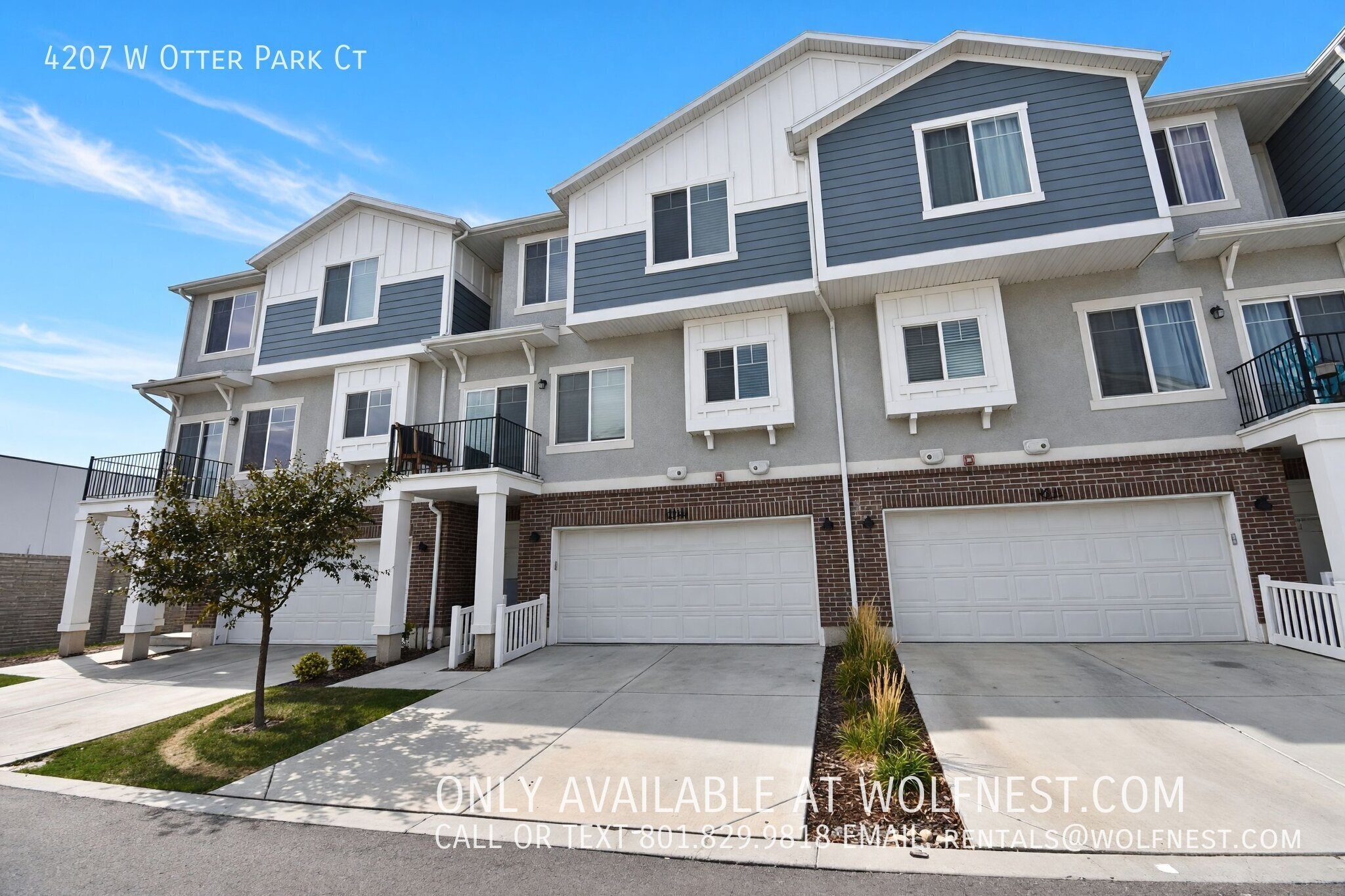 Herriman Townhome: 4207 W Otter Park Ct