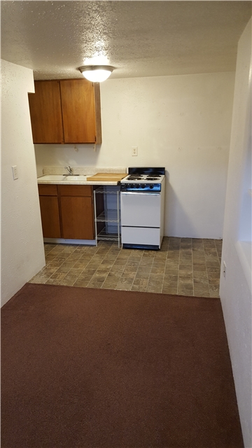 Logan In-Law/Basement: 241 N 300 E