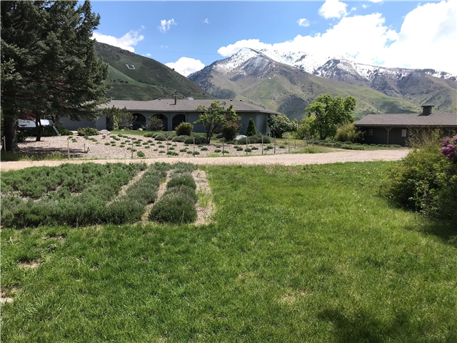 Ogden Single Room: 6360 Borg Cir