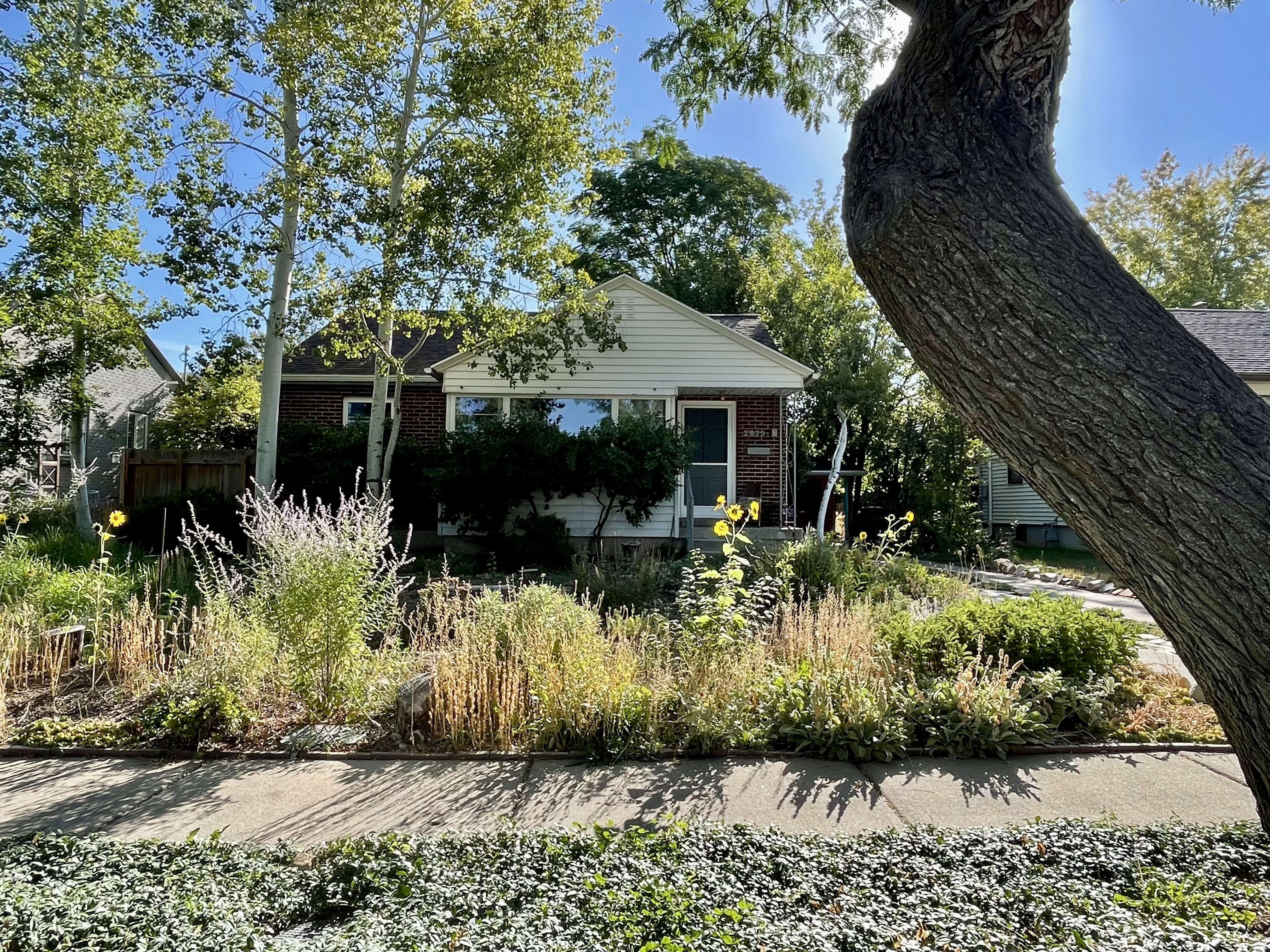 Salt Lake City In-Law/Basement: 2879 S Filmore St
