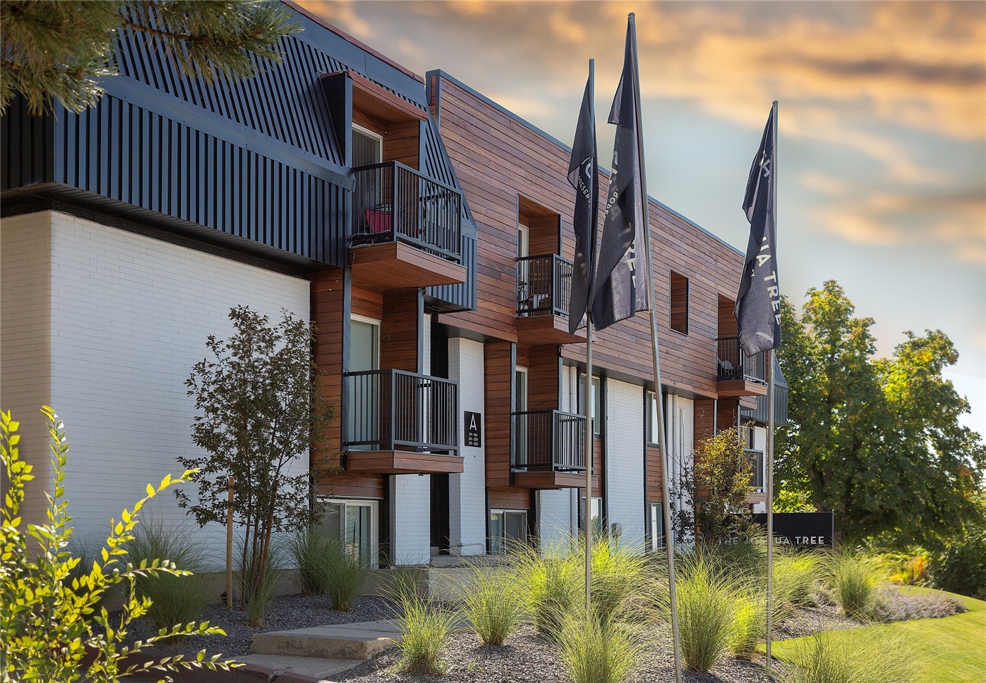 Joshua Tree Apartments | Apartment for rent at 3349 S 1300 ...