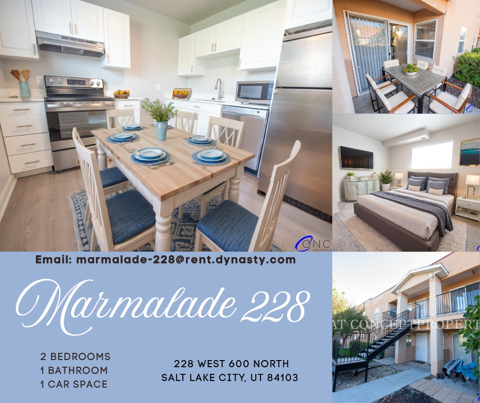Salt Lake City Apartment: 228 W 600 N