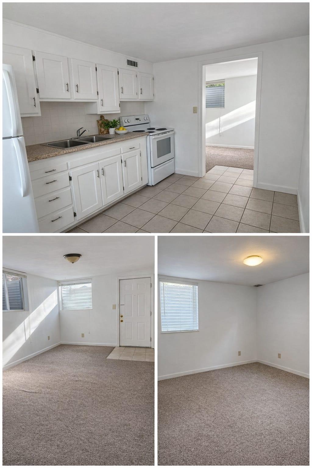 Salt Lake City In-Law/Basement: 807 E 300 S