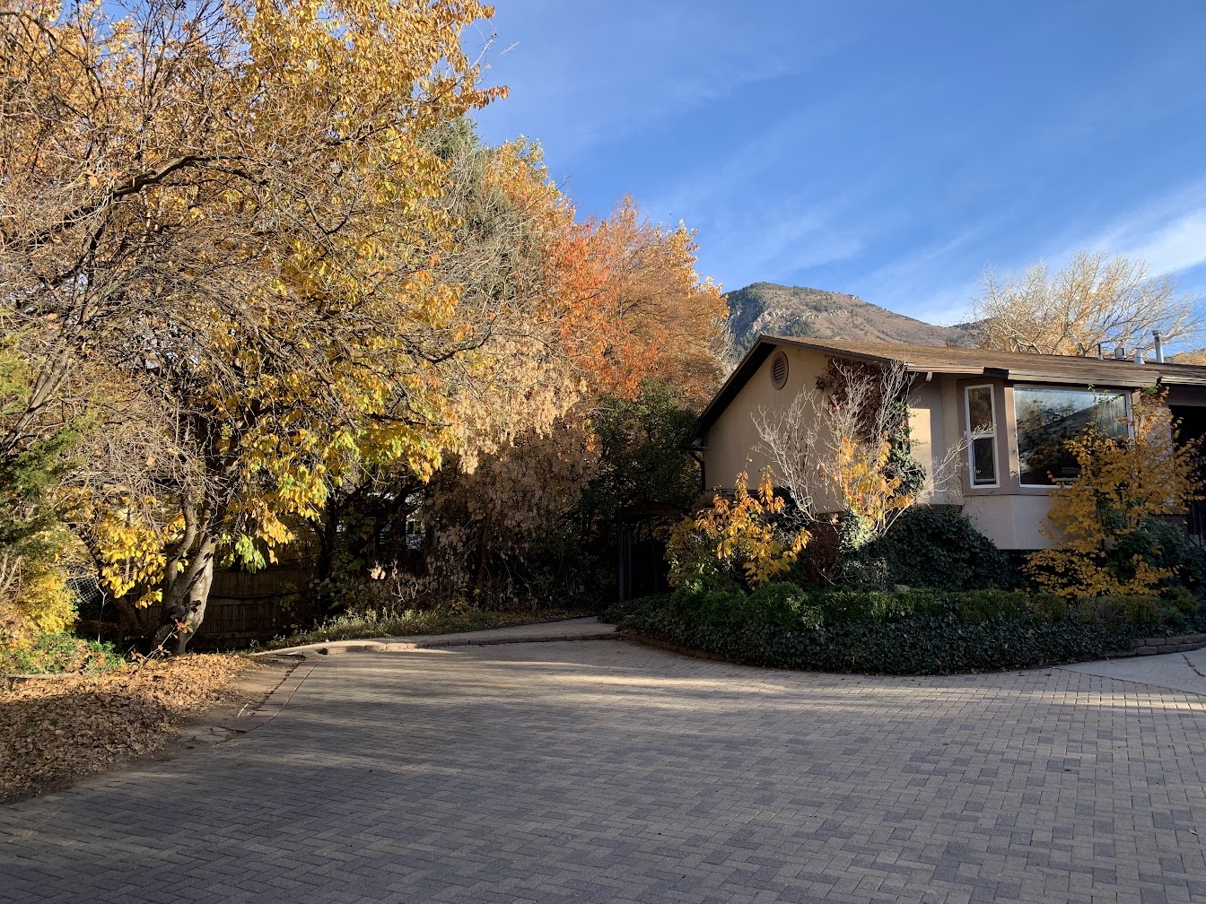 Ogden In-Law/Basement: 1603 Canyon Rd