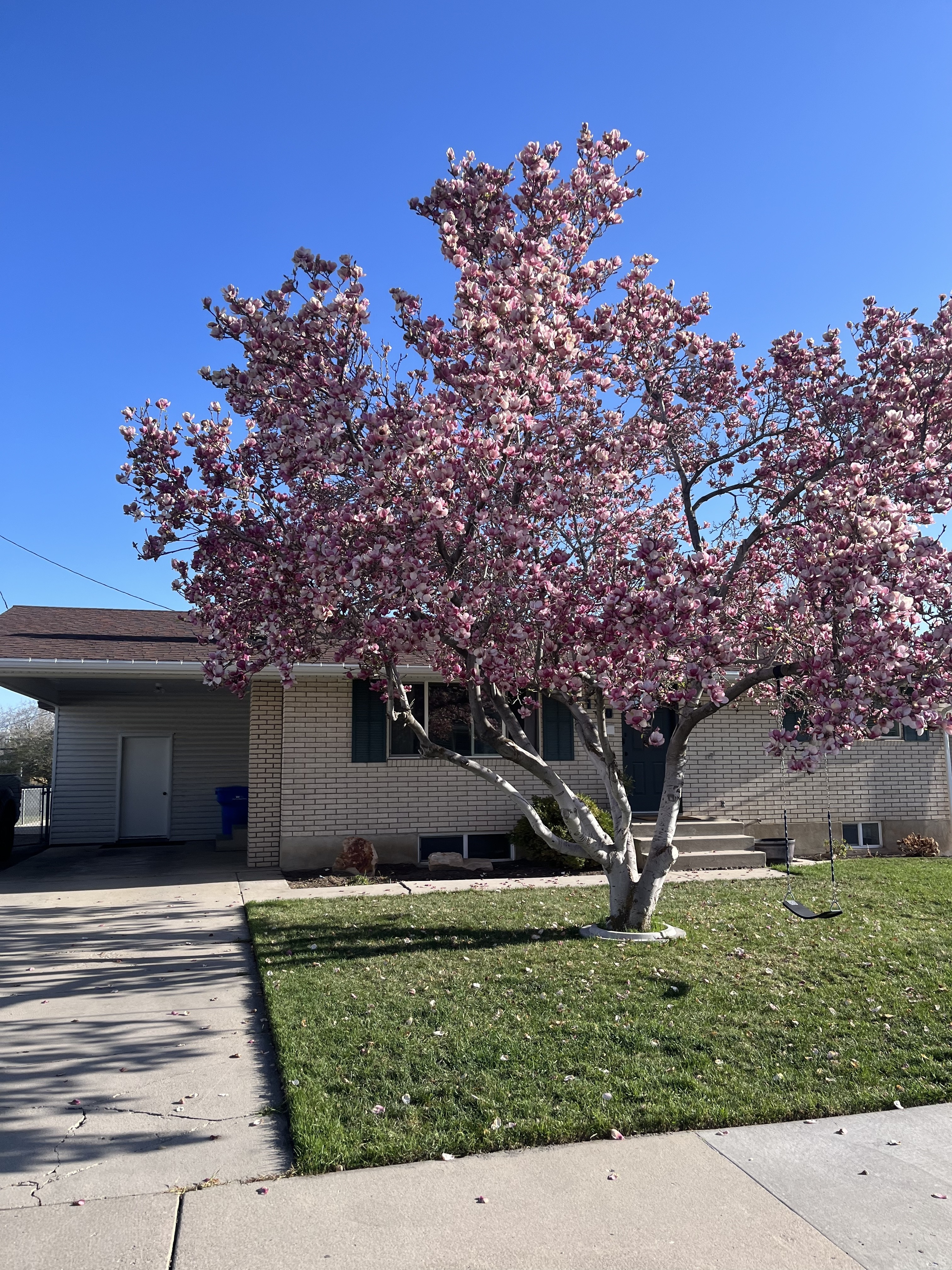 Orem House: 170 E 350 N