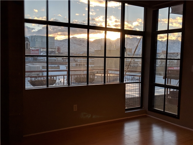 Salt Lake City Condo: 336 W Broadway