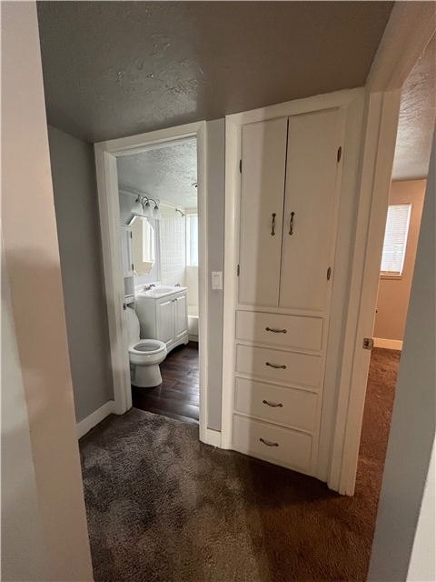 Bountiful In-Law/Basement: 133 E 900 N
