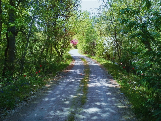 Logan Single Room: 200 N Riverside Dr