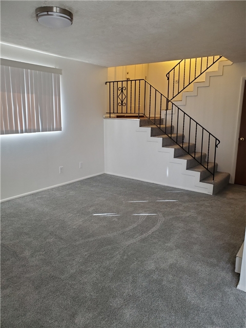 Nephi Apartment: 276 W 700 N