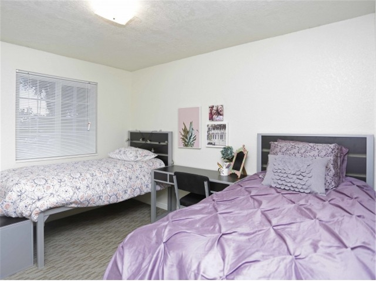 Single Room For Rent At 1849 N Freedom Blvd Provo Ut 84604 Rentler