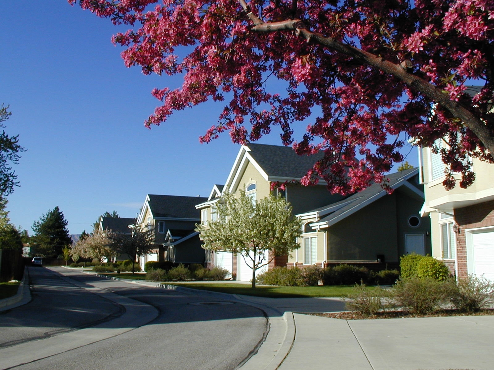 Salt Lake City Townhome: 4477 S Hampton Crest Cv