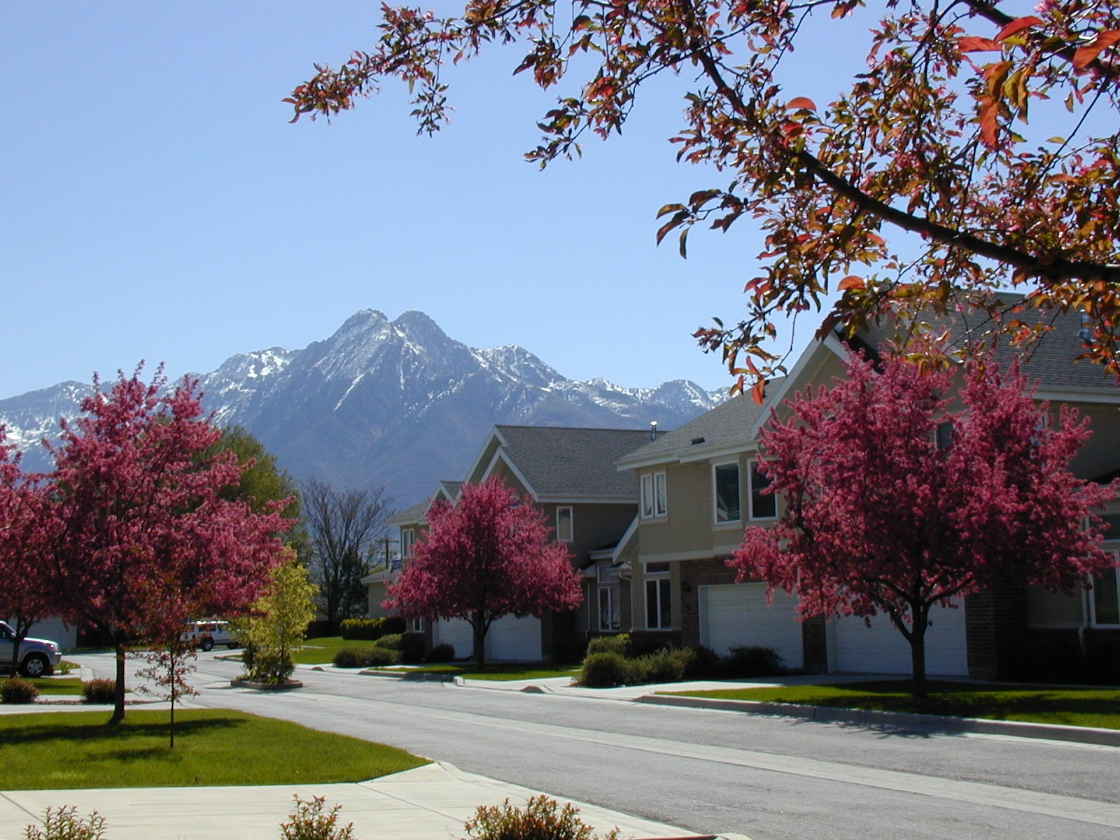 Salt Lake City Townhome: 4477 S Hampton Crest Cv