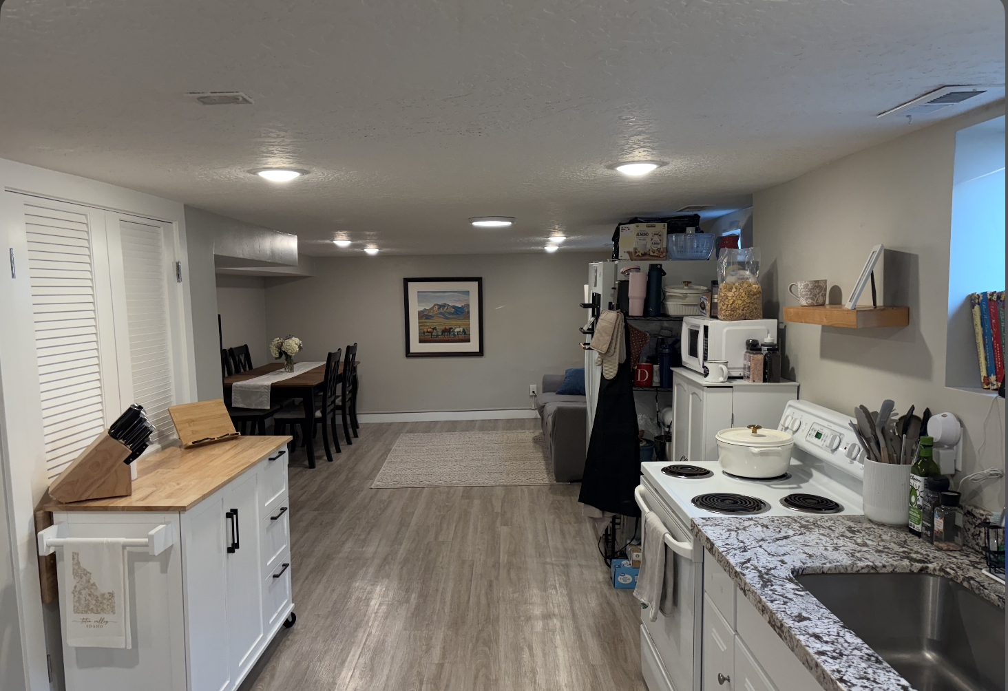 Springville In-Law/Basement: 698 S Main St