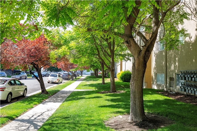 Salt Lake City Apartment: 264 S Foss St