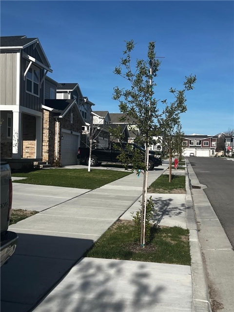 South Jordan In-Law/Basement: 1547 W Oakbrook Dr