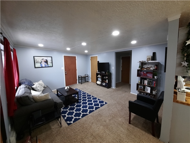 Springville Condo: 645 Swenson Ave