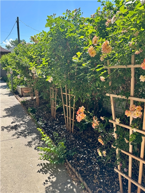 Salt Lake City Apartment: 1097 S Denver St