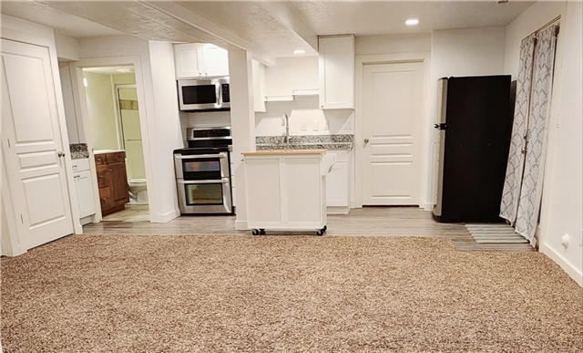 American Fork In-Law/Basement: 1093 E 1100 N