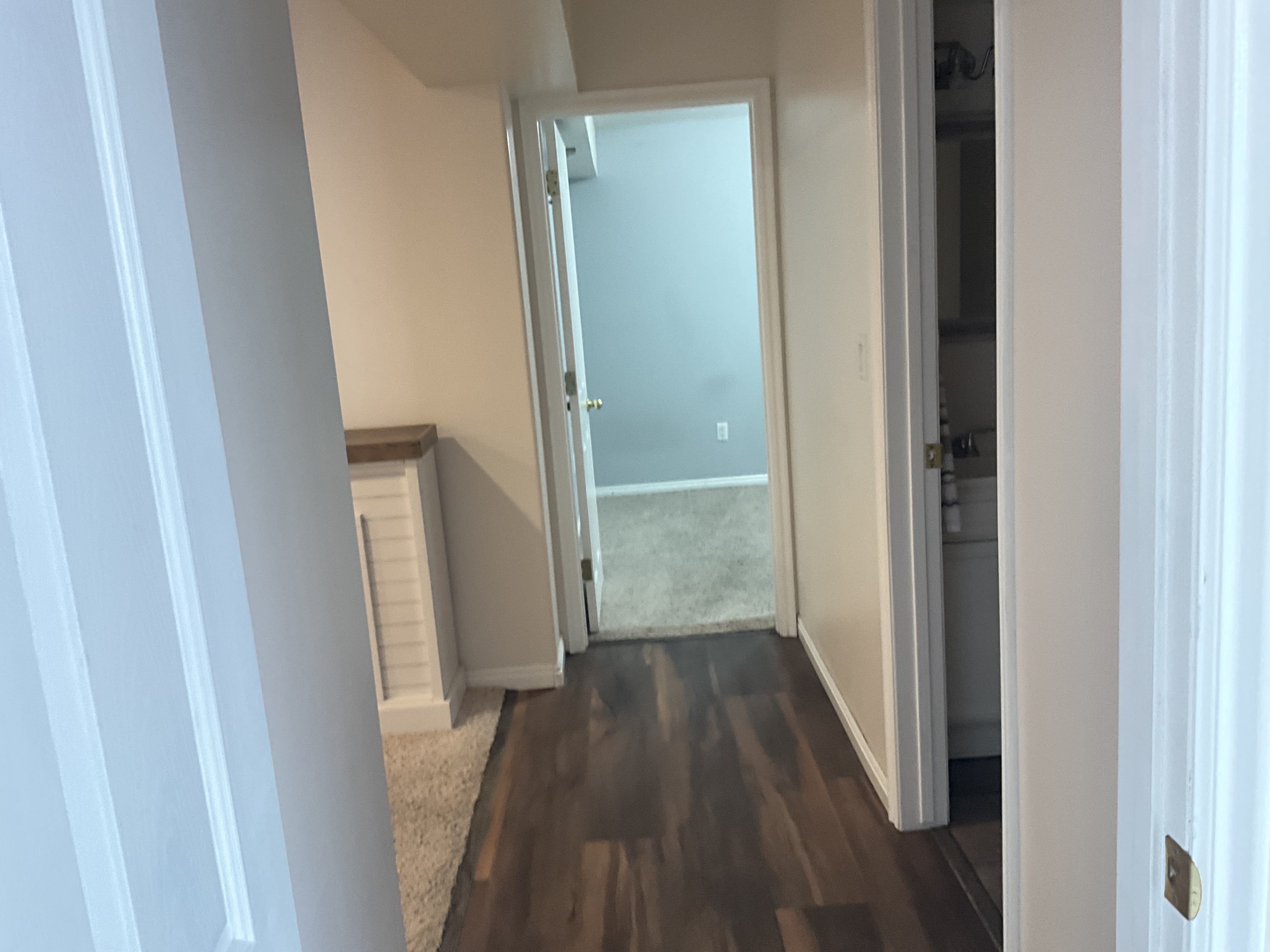 Layton In-Law/Basement: 156 S Indian Springs Dr