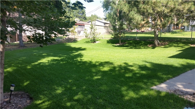 North Salt Lake Apartment: 289 Odell Ln