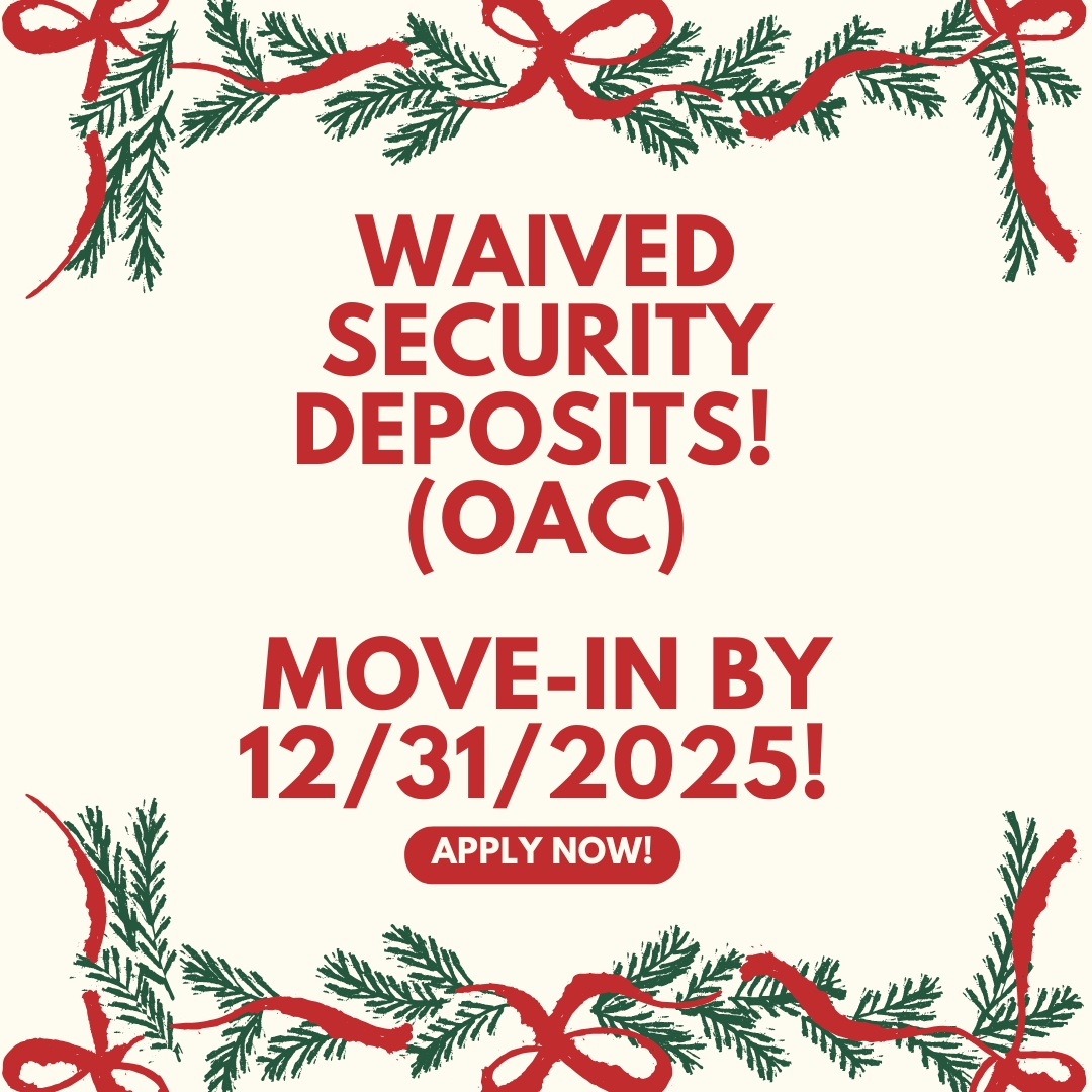 Steamboat Springs Apartment: 3195 S Lincoln St