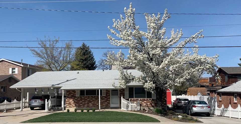 Provo House: 2295 Timpview Dr