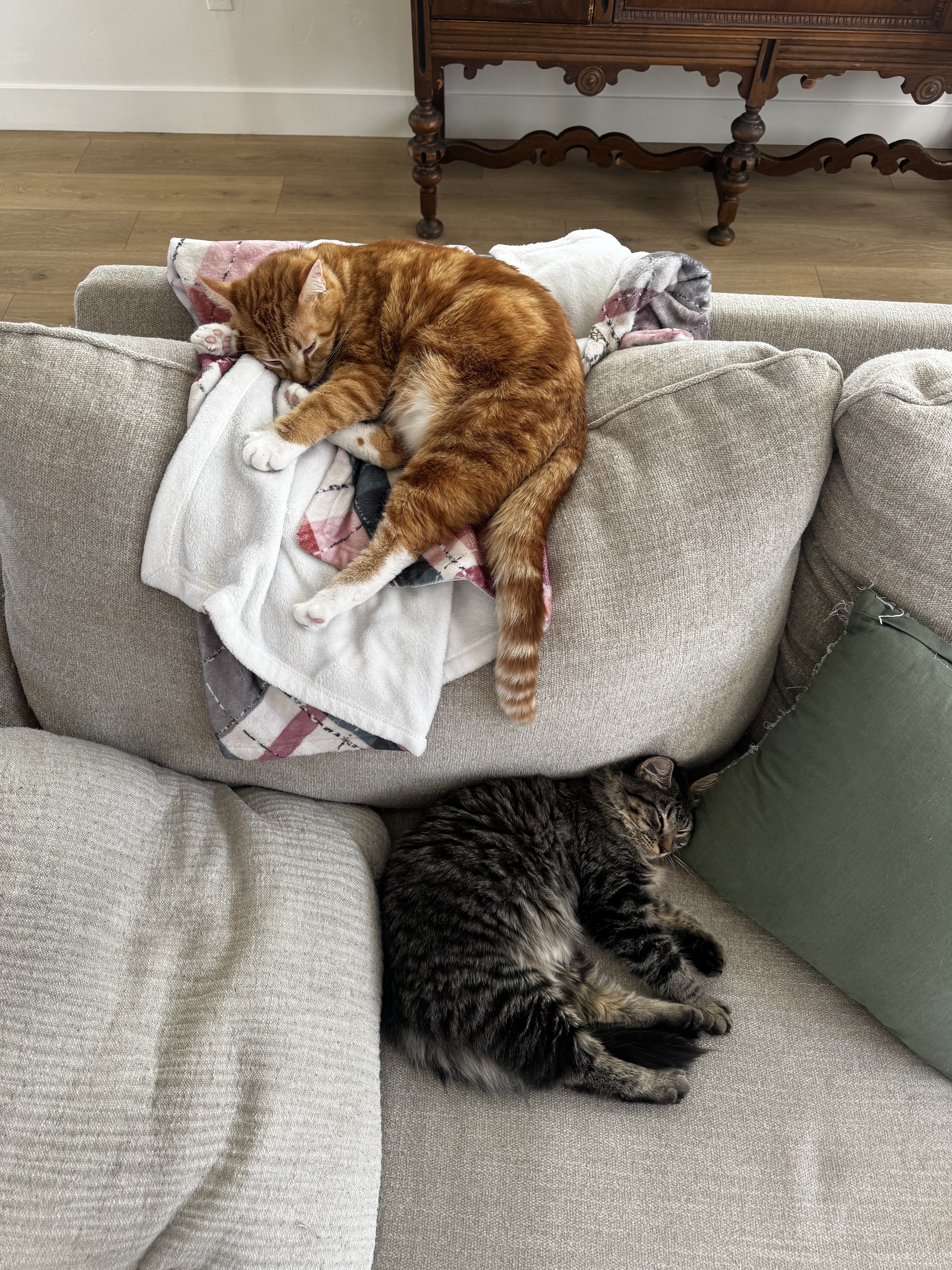 American Fork Townhome: 422 S 700 W