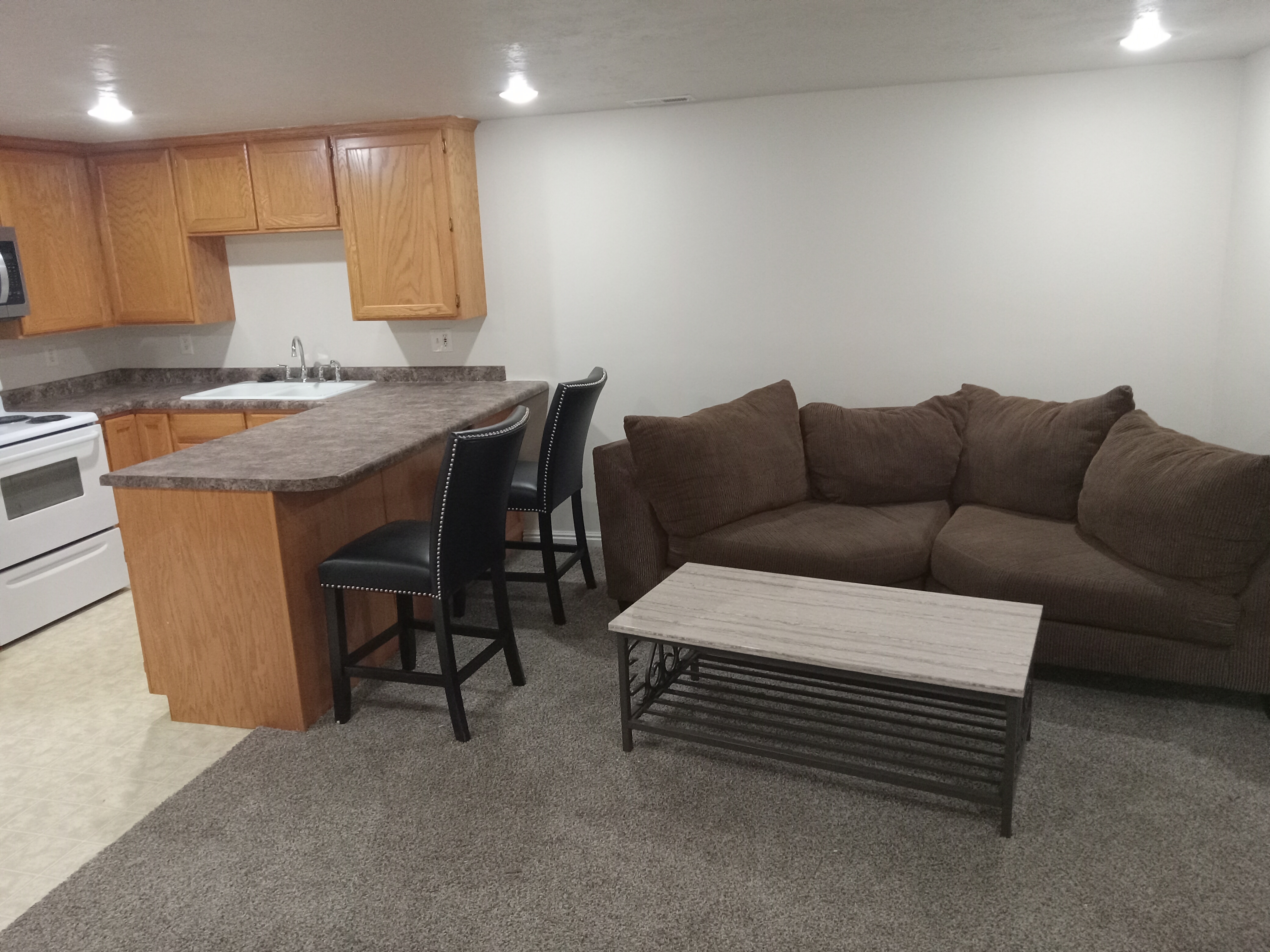 Salt Lake City Apartment: 248 S 800 E