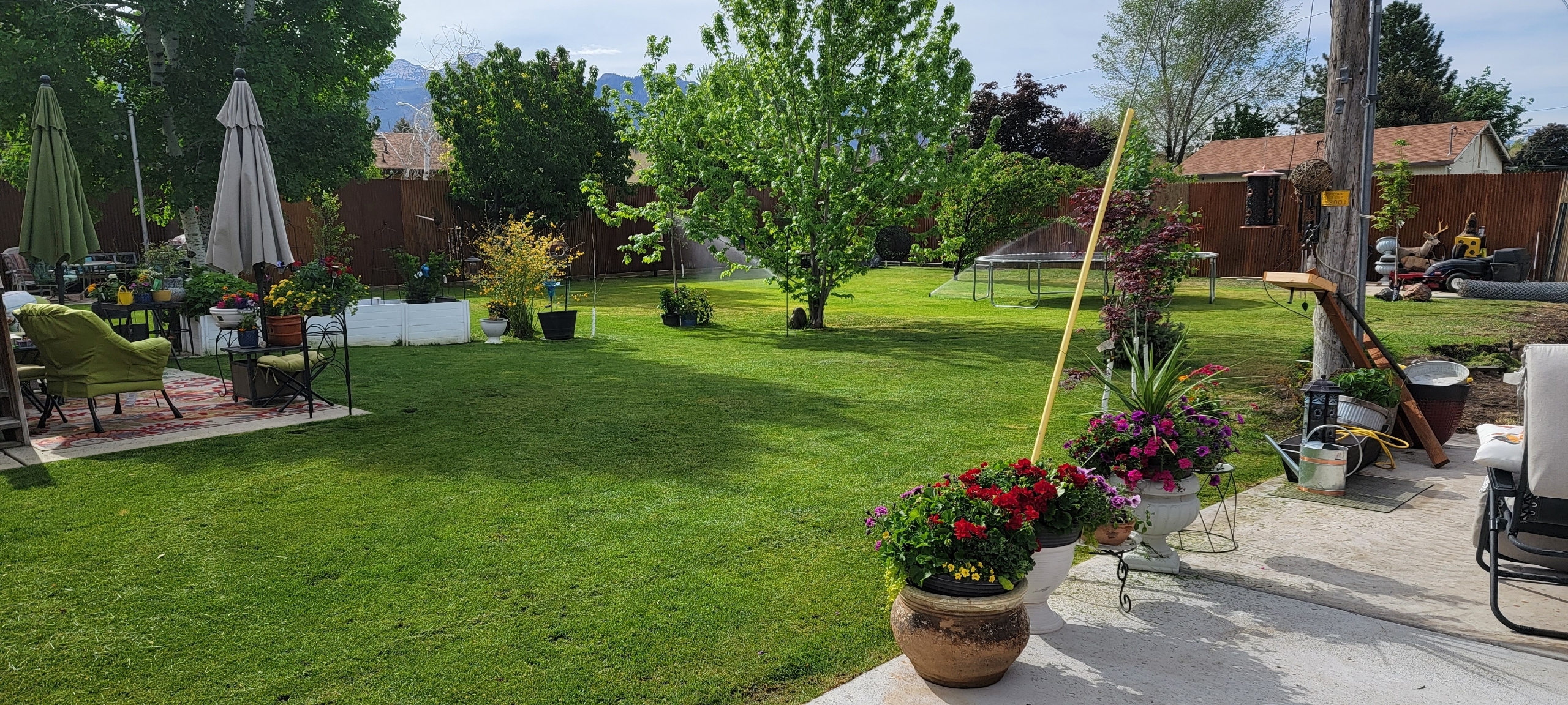 Orem Single Room: 174 E 500 N