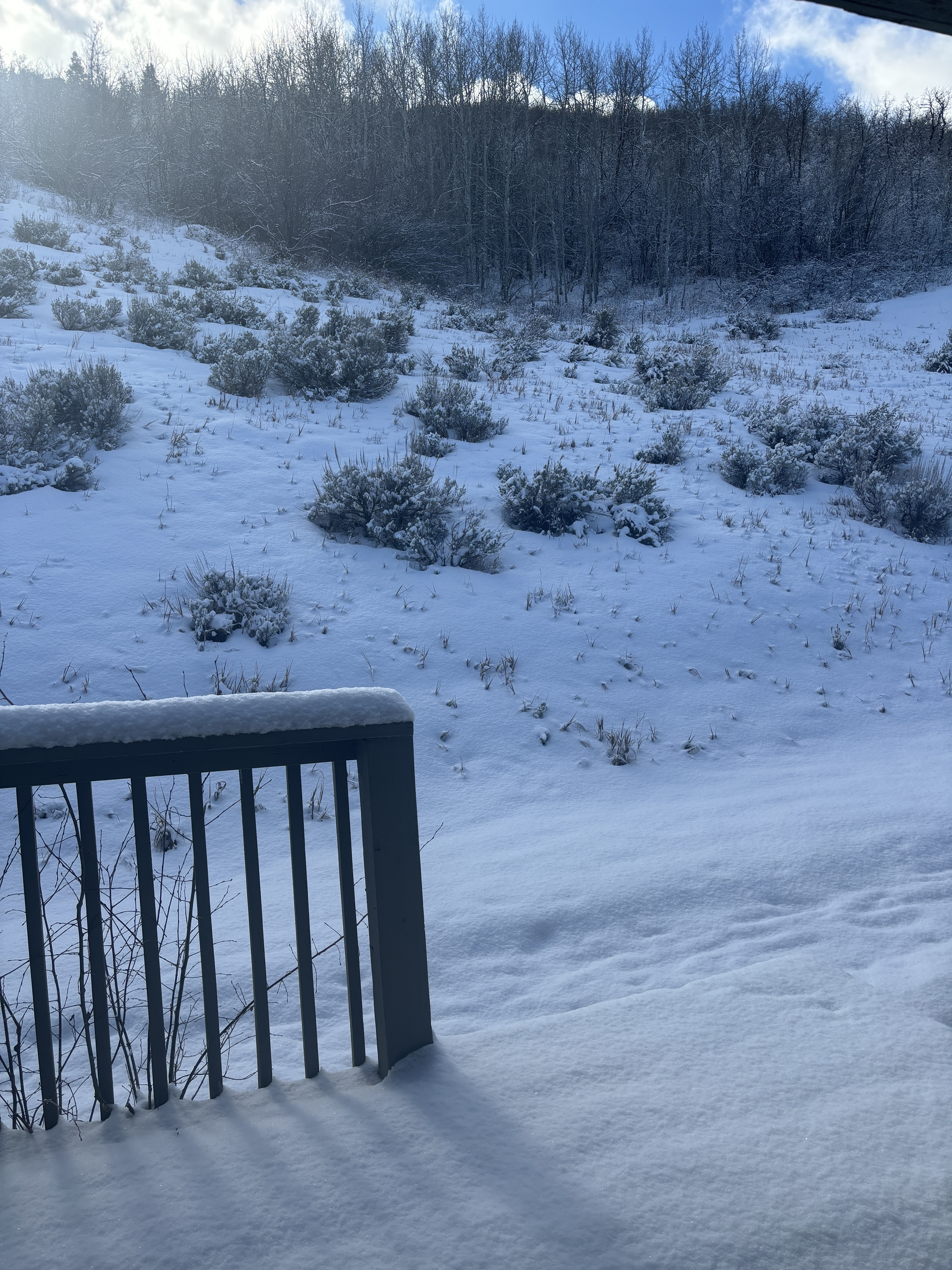 Park City Condo: 1690 Upper Ironhorse Loop