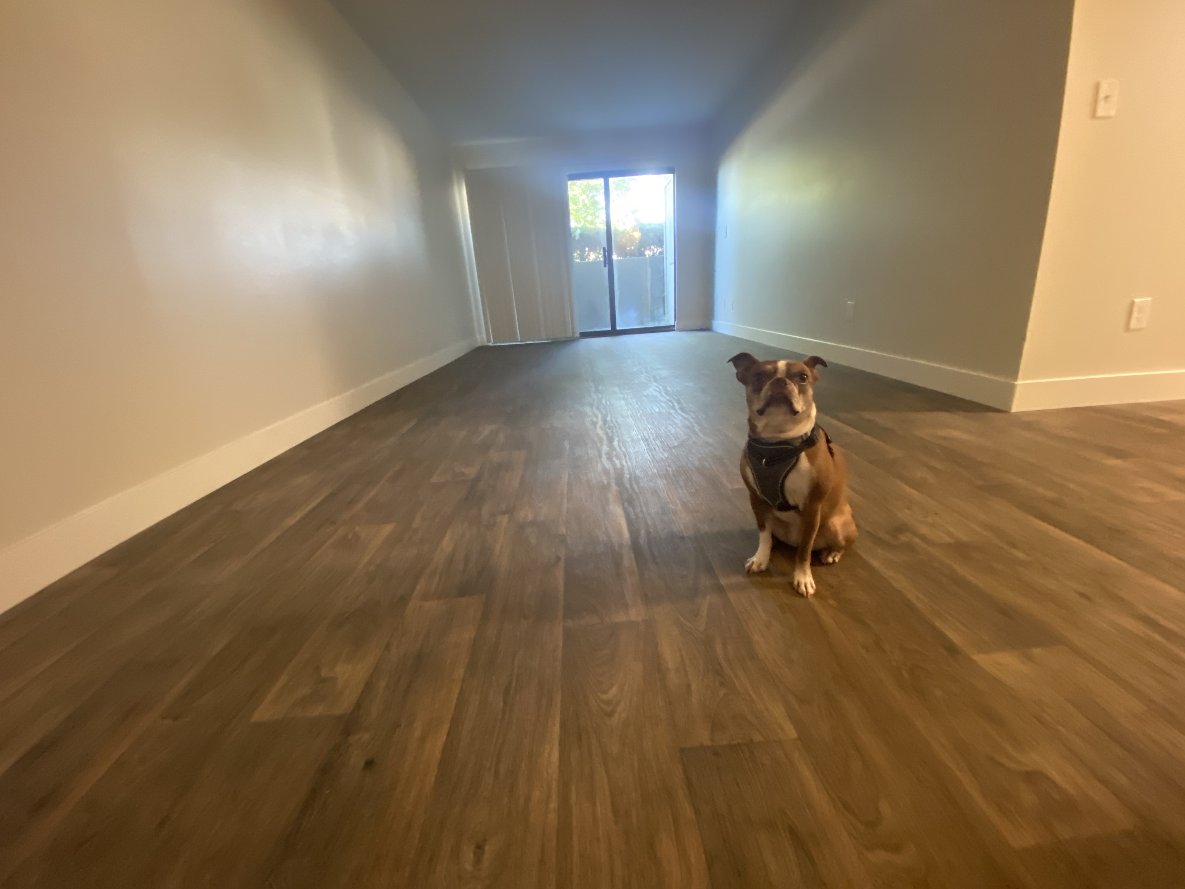 Salt Lake City Apartment: 598 W Murray Blvd